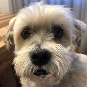 Meet your Posher, Patrizia